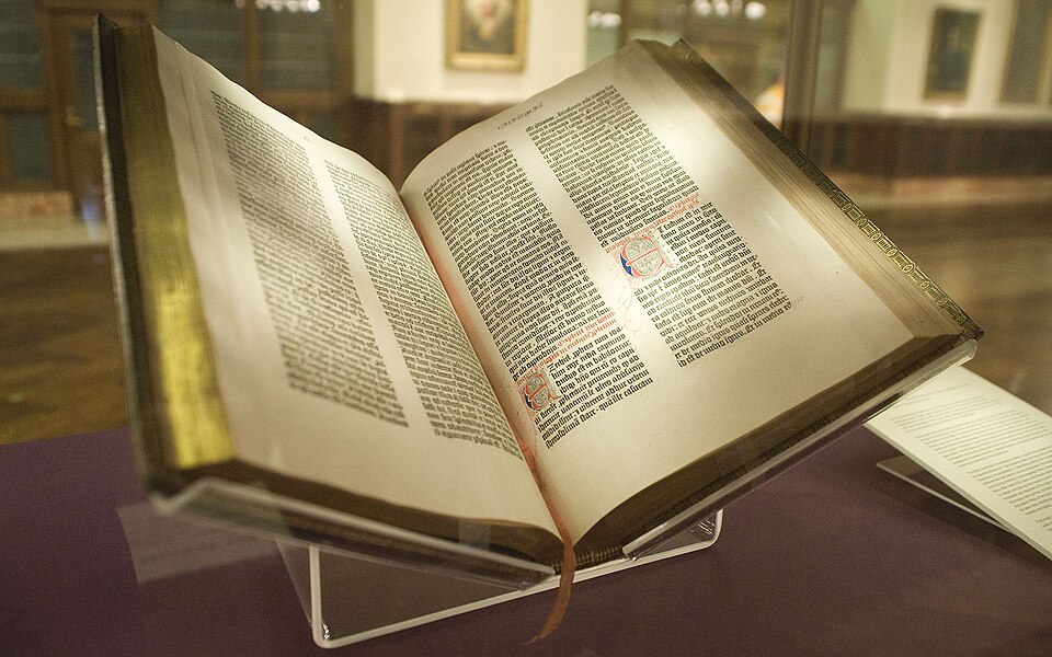 An open book in warm natural light